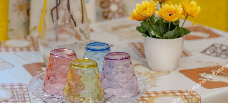 成都九眼桥田园风情两居室公寓图片