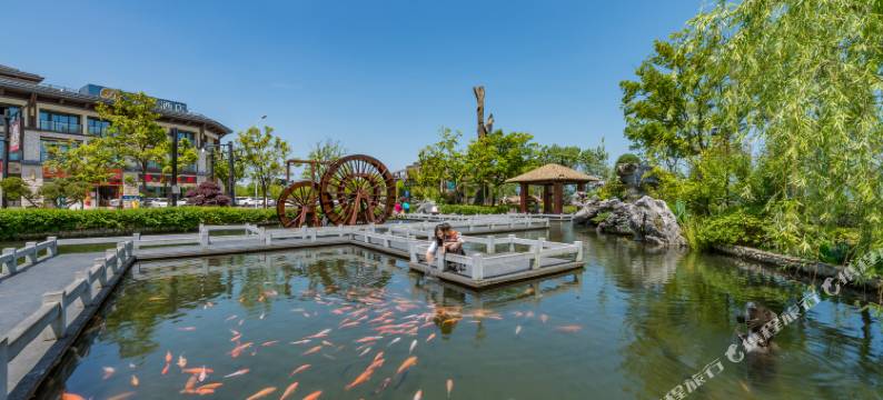 千岛湖中心湖码头丽呈睿轩酒店图片