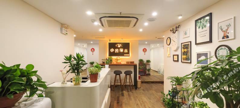 重庆小舍缘木江景酒店(解放碑洪崖洞店)图片