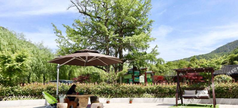 杭州银杏民宿图片