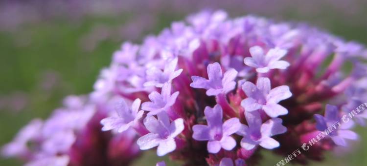 德居人合酒店(昆山花桥光明路地铁站店)图片