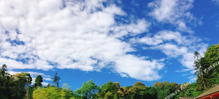 雅安碧峰人家熊猫民宿图片