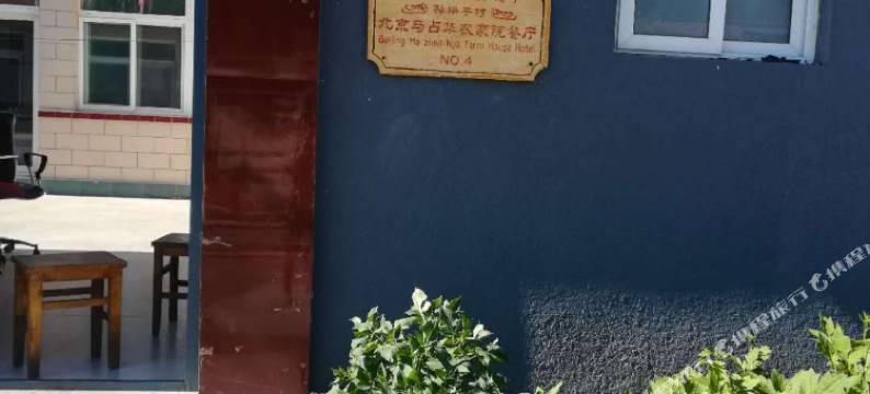 北京喇叭沟门白桦林马占华农家院图片