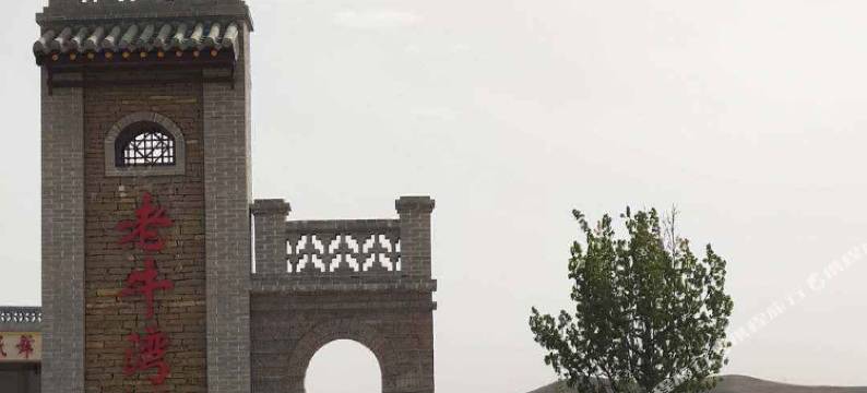 偏关金娃乐农家客栈图片