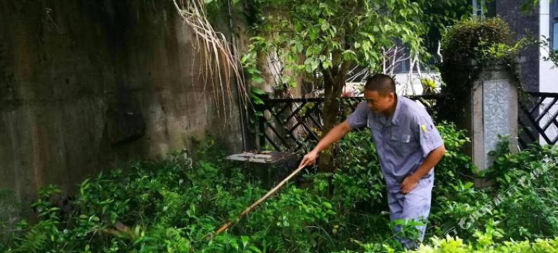 厦门泉天下度假别墅图片