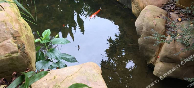 清远欧式风情别墅图片