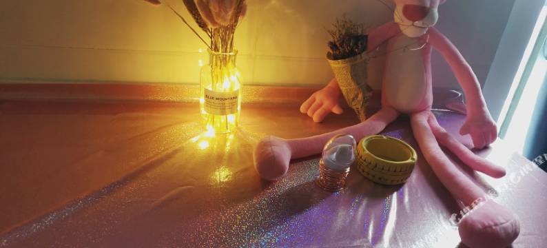 窦小姐公寓(肥东3号店)图片