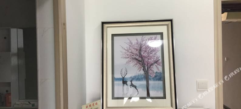 武汉致青春精品公寓.图片