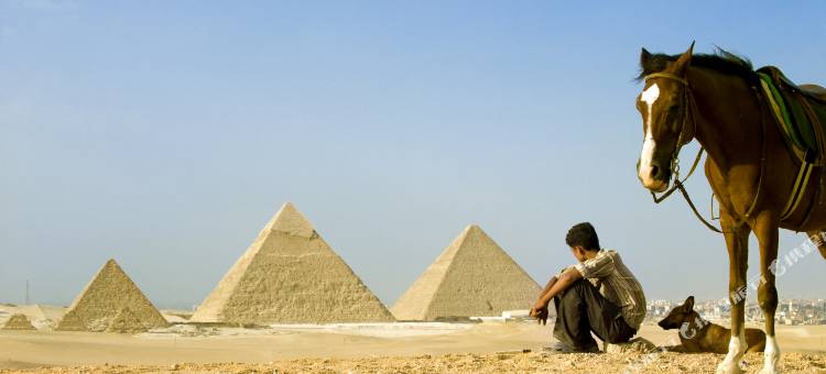 巴塞罗开罗金字塔(Barceló Cairo Pyramids)图片