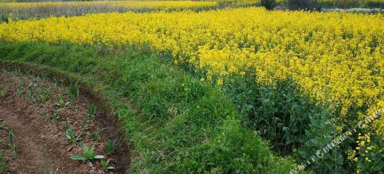 黄山遇见客栈(黄山高铁北站店)图片