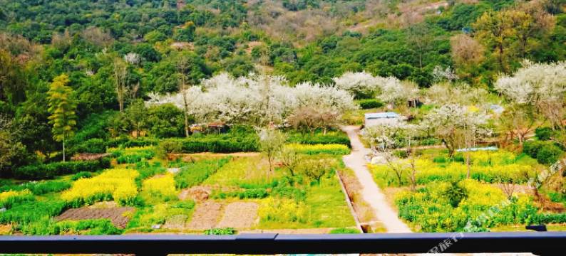 无锡归山清隐客栈图片