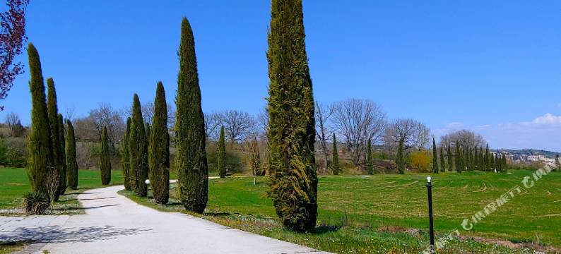 托斯卡纳图瑞毕卡住宿加早餐旅馆(Torrebianca Tuscany)图片