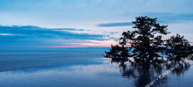 白浜奇特莱斯希莫尔公寓(Seamore Residence)图片