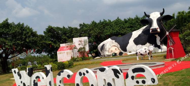 Amigo米阁酒店(深圳公明店)图片