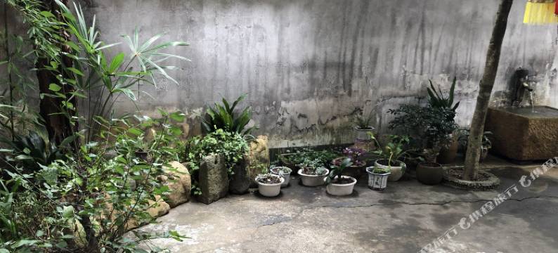 建德新叶古村民宿图片