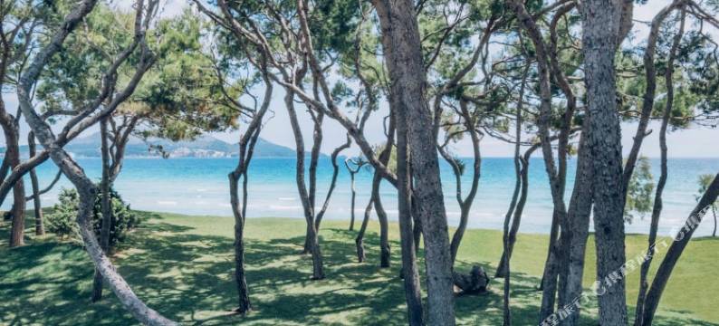 穆罗海滩村伊比利亚之星精选酒店(Iberostar Selection Playa de Muro Village)图片