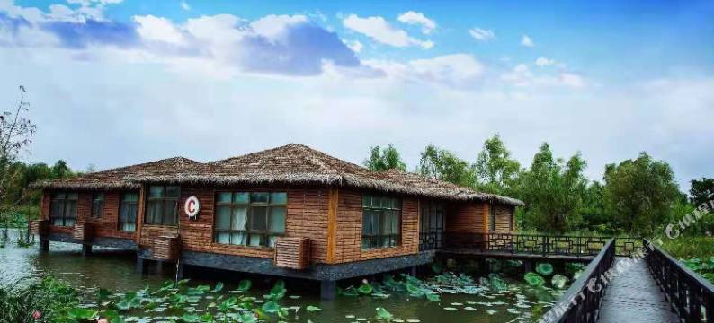 泗洪湿地度假村图片