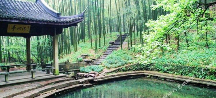杭州伍捌民宿(西湖龙井村店)图片