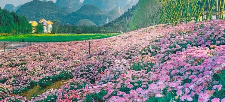 宜尚酒店(兴义梦乐城桔山广场店)图片