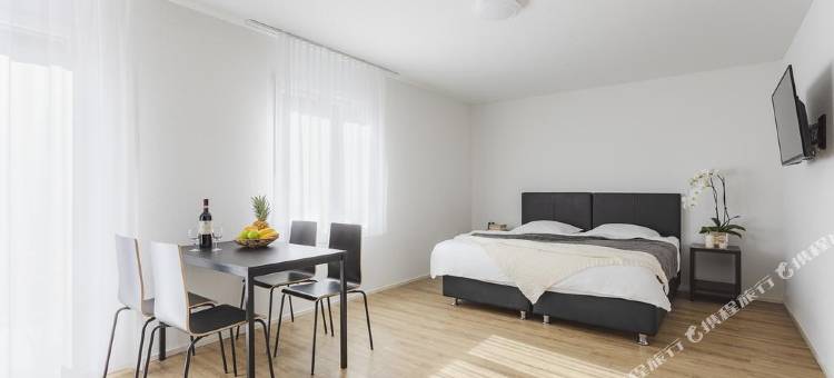 维迪孔瑞士之星酒店(Swiss Star Wiedikon - Self Check-IN)图片