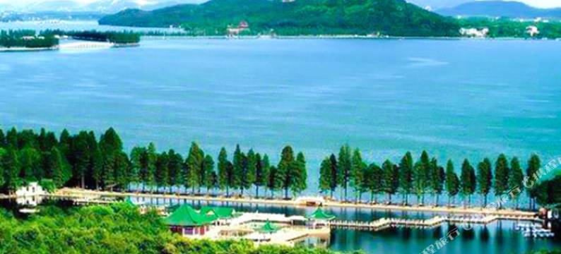 七七精选民宿(武汉站店)图片