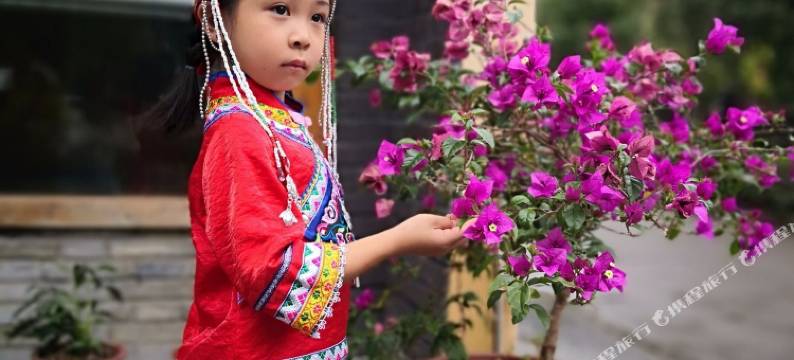 景宁玖圃民宿图片