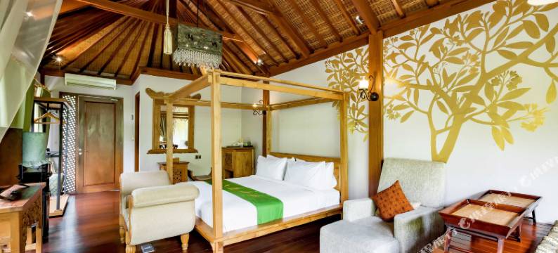 迪西尼别墅酒店(DISINI Luxury Spa Villas)图片