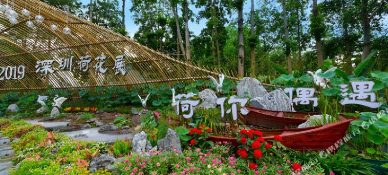 心怡精选酒店(深圳东门店)图片