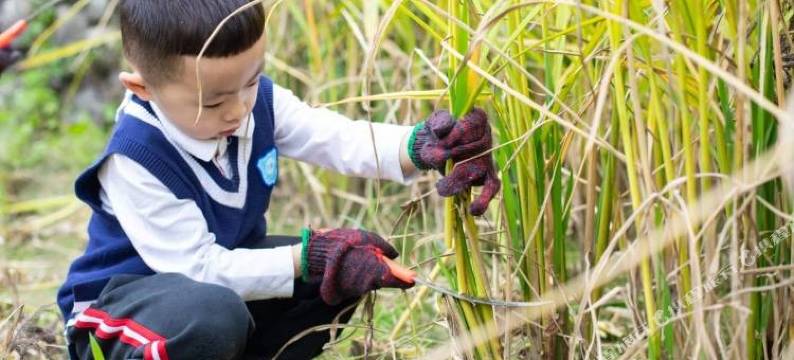 永嘉耕云钓月田舍图片