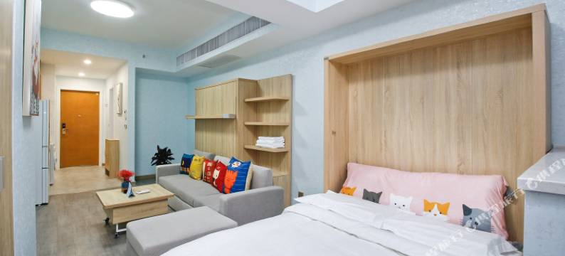 西安兰岛美家公寓图片