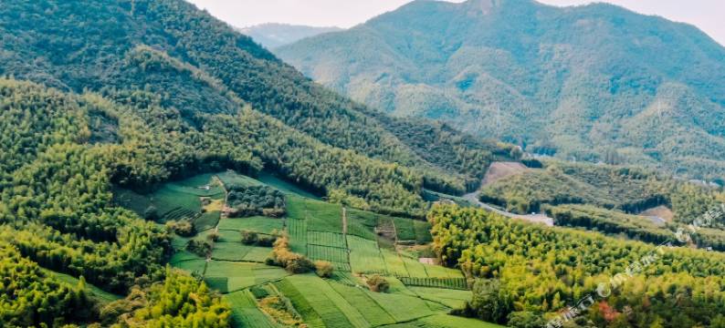 莫干山鸟青山五号民宿图片