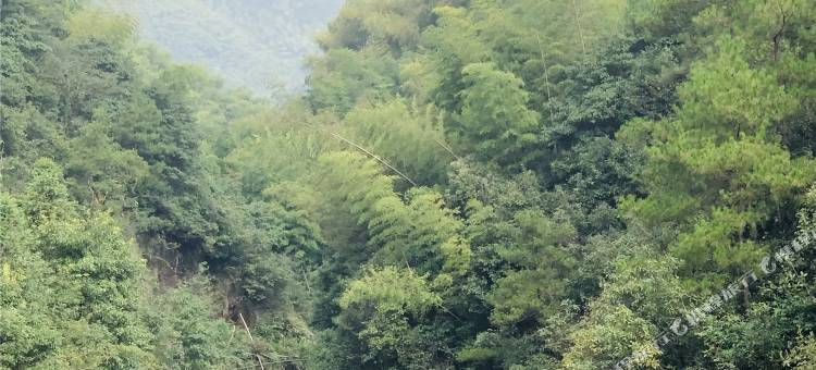 五洩紫苏岩精品民宿图片