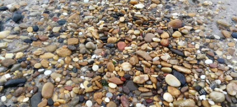 荣成进来唠两块钱的特色民宿图片