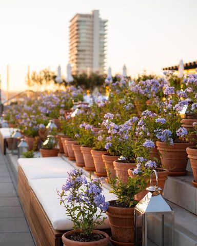 The West Hollywood EDITION Over view