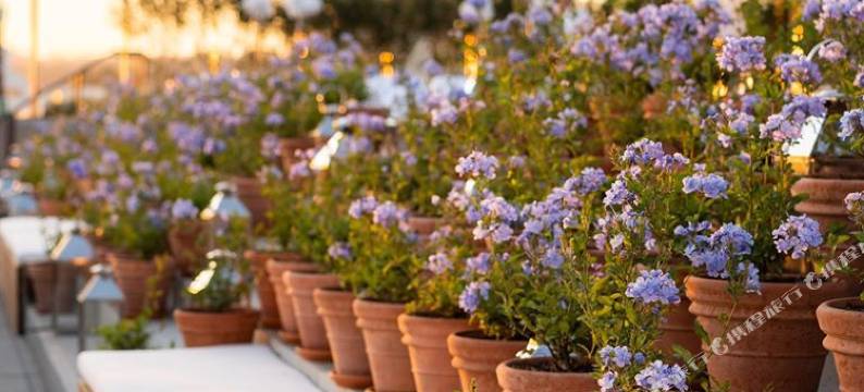 西好莱坞艾迪逊酒店(The West Hollywood Edition)图片