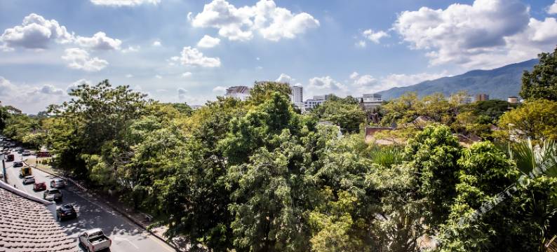 7天阳光酒店-清迈古城店(Chiang Roi 7 Days Inn)图片