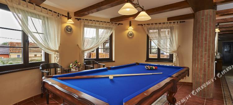 蔻娜奇奥安比恩特度假酒店(Conacul Ambient)图片