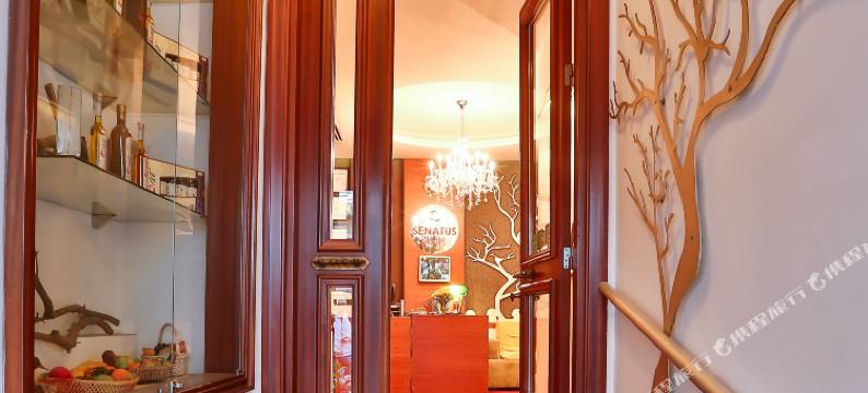 希纳斯酒店(Senatus Hotel - Special Class)图片