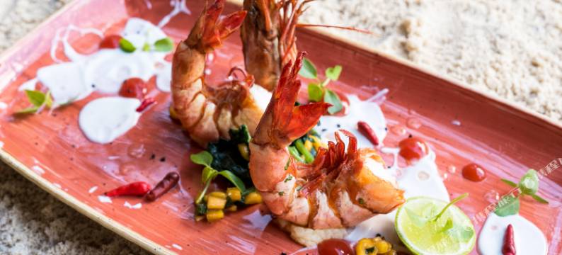 桑给巴尔蒂基坦棕榈精品酒店(Tikitam Palms Boutique Hotel)图片