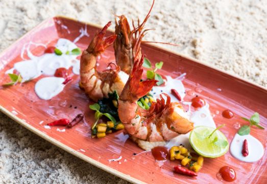 Tikitam Palms Boutique Hotel Hotel Overview