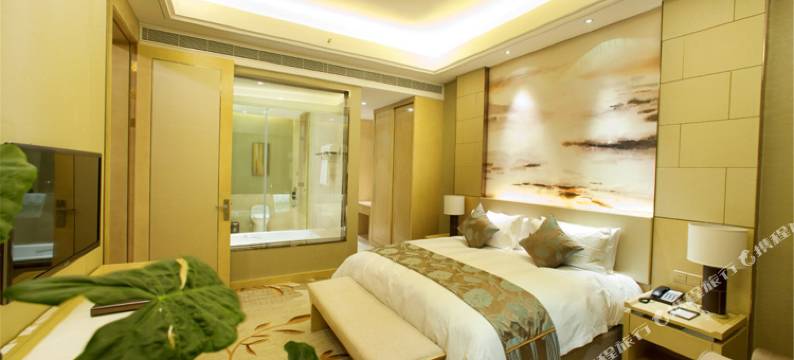 郑州东站天鹅城国际饭店图片