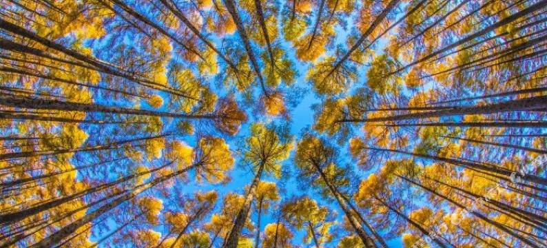 凉城景怡宾馆图片