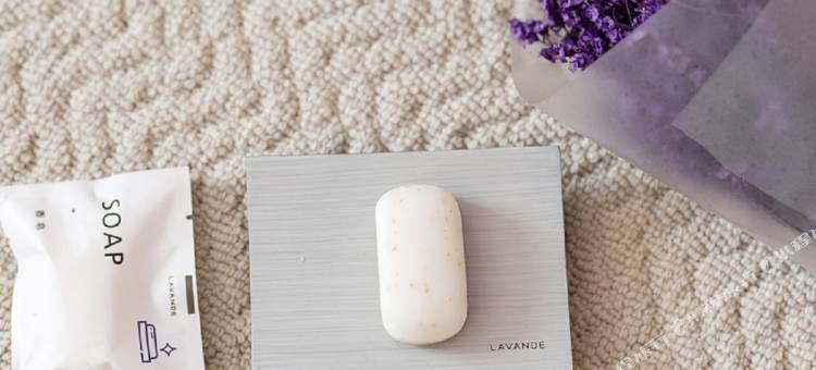 麗枫酒店(永新步步高时代广场店)图片