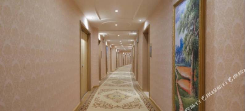 维也纳酒店(徐州金山桥地铁站店)图片