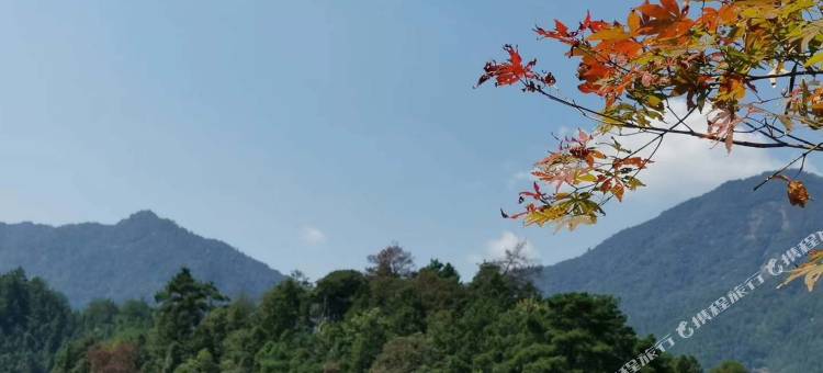 横峰永达大酒店图片