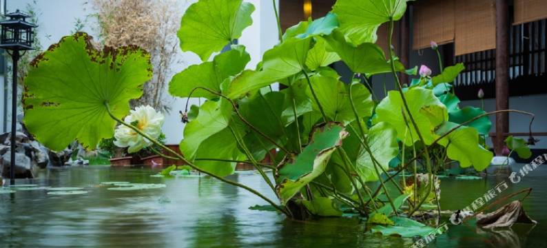 宽渡酒店(南京夫子庙三山街地铁站店)图片