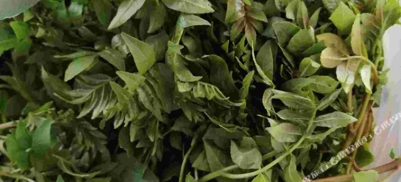 野三坡和顺农家图片