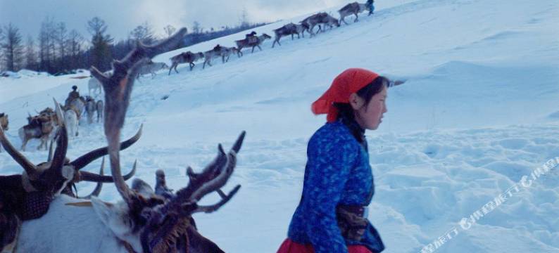 根河森林冰雪酒店图片