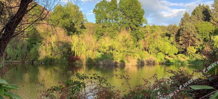 维也纳酒店(丽江古城店)图片