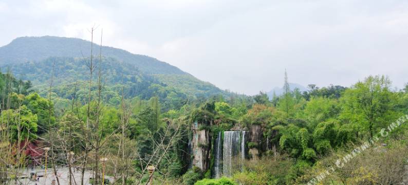 峨眉山名秀酒店(报国寺店)图片